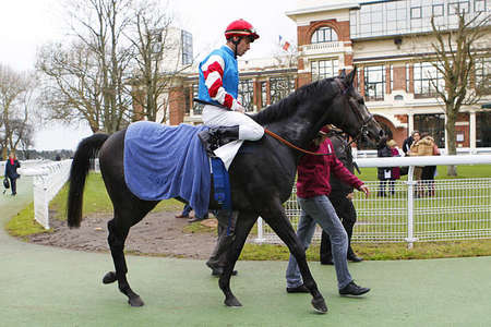 Actualités Hippiques